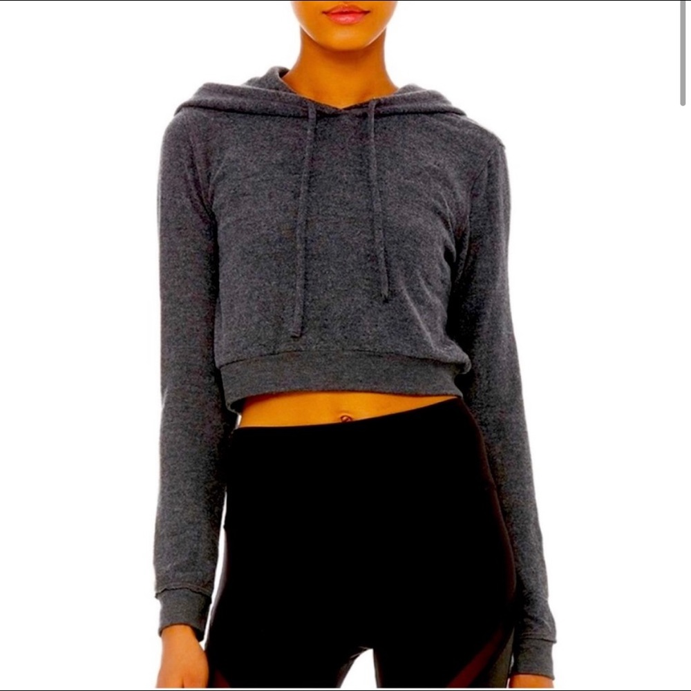 ALO Yoga Cropped Hoodie Sweater